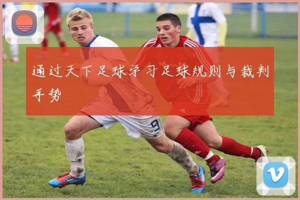 通过天下足球学习足球规则与裁判手势