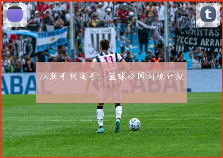 从新手到高手:篮球公园训练计划