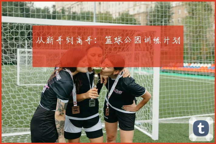 从新手到高手：篮球公园训练计划