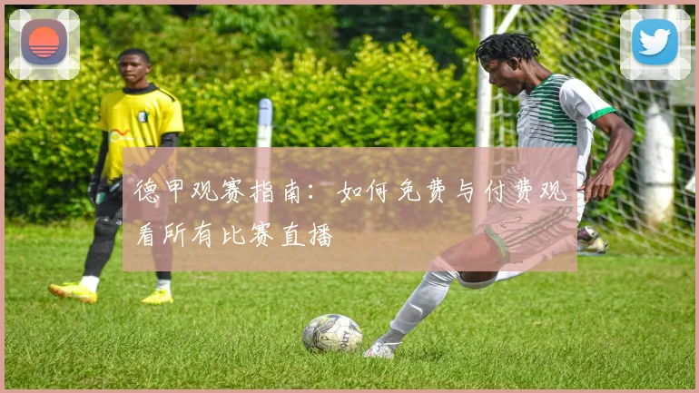 德甲观赛指南：如何免费与付费观看所有比赛直播