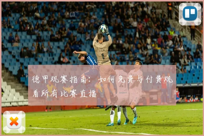 德甲观赛指南：如何免费与付费观看所有比赛直播